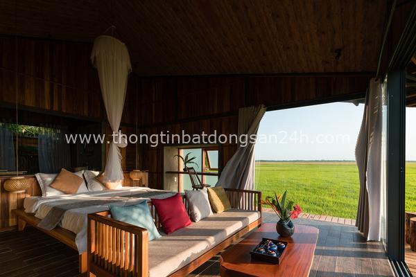 Resort ở Bà Rịa - Vũng Tàu trong không gian xanh mướt của đồng ruộng 4